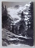 Wengen, Weg nach Mettlenalp, Jungfrau