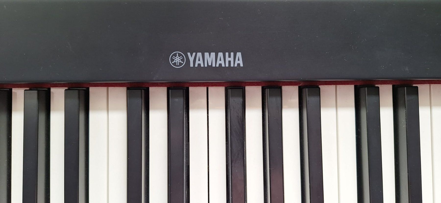 Strumenti musicali: Piano Yamaha DGX-660 – Usato da Roggwil TG venduto da trauts.suagapra 4