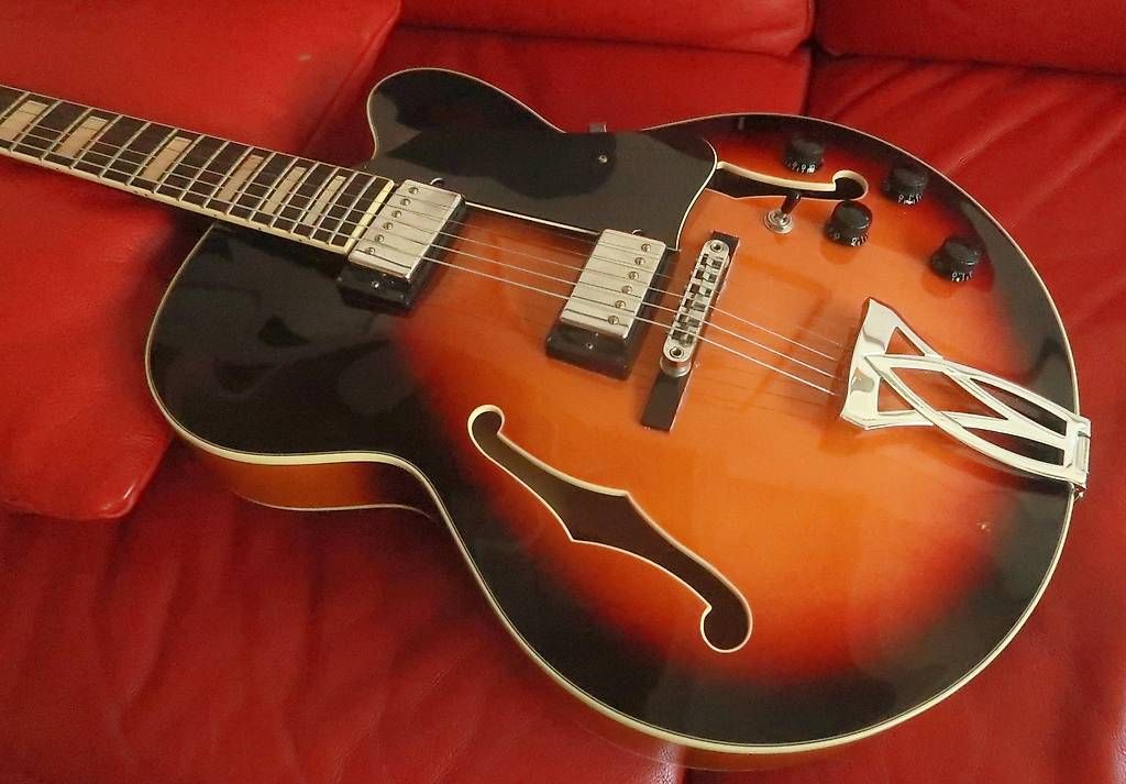 Musikinstrumente: Ibanez AF-75 Jazzgitarre – Gebraucht aus Buch SH von Chrysomeles