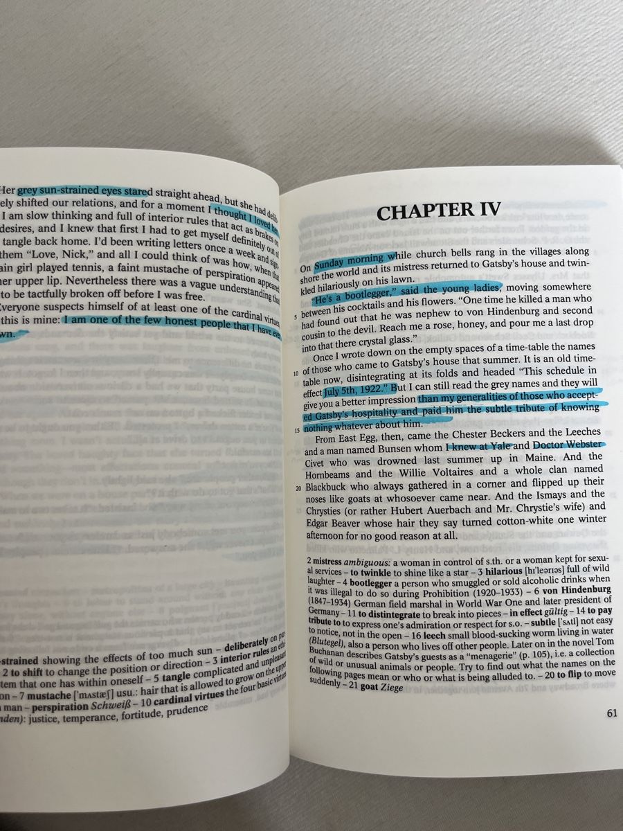 Libri: The Great Gatsby – Usato da Bottmingen venduto da vera_am 2