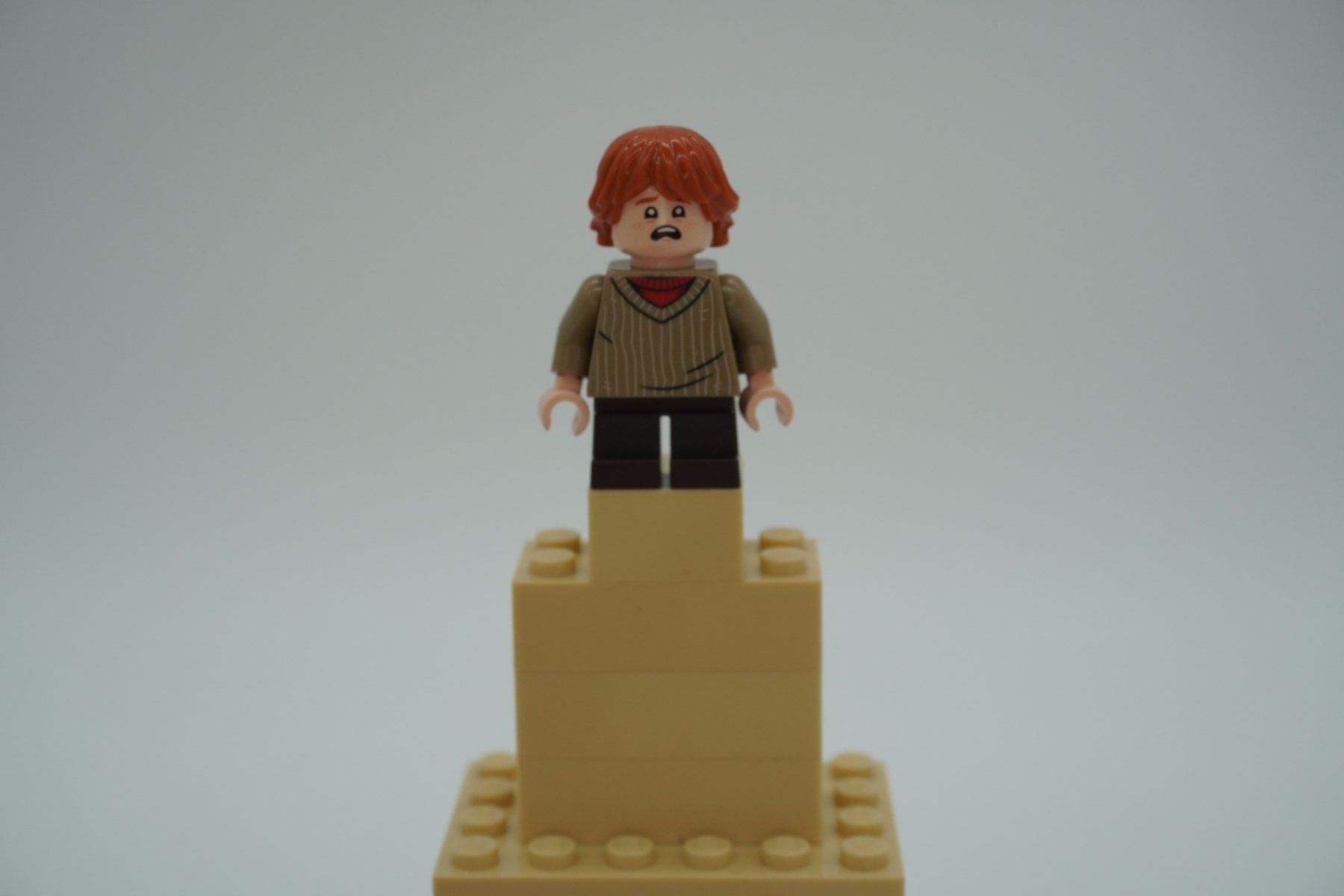 Lego Giocattoli: Lego Harry Potter Weasley Bundle – Usato da Zürich venduto da PWRgZ 1