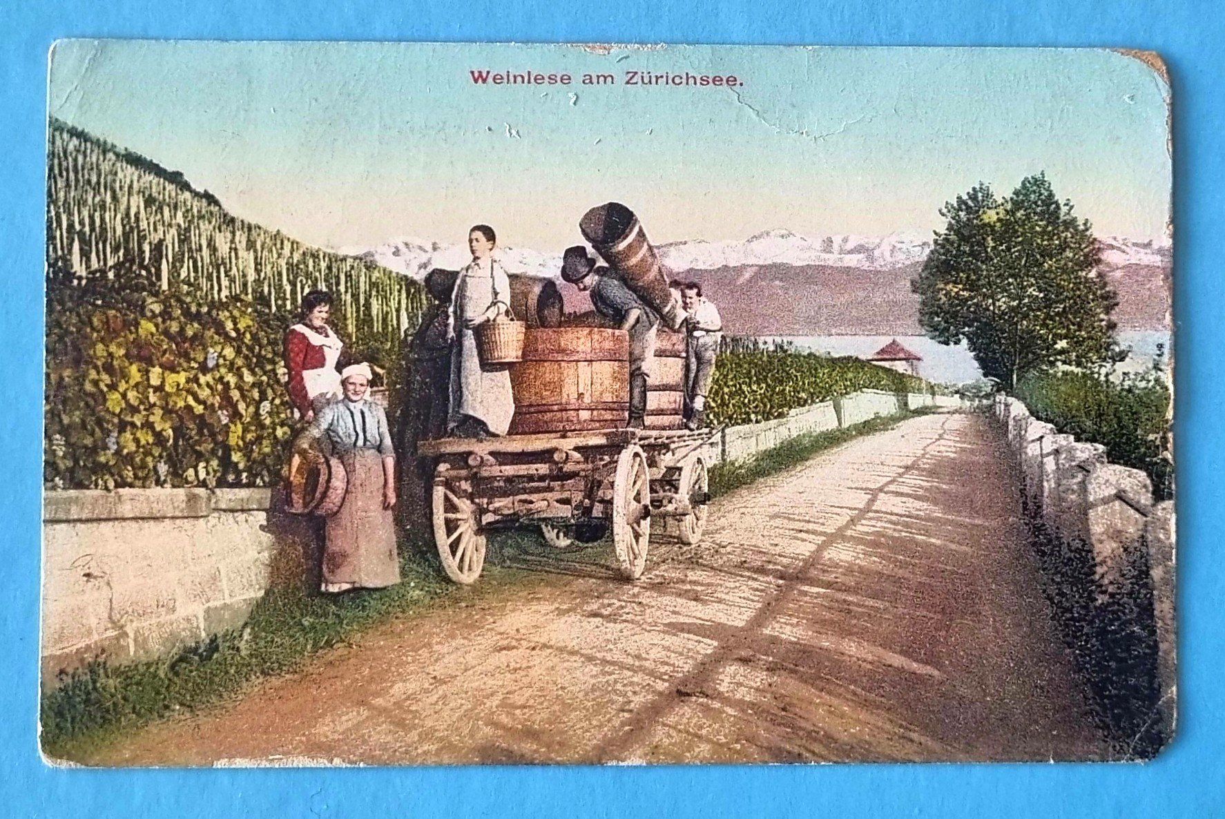 Cartoline postali: Weinlese am Zürichsee - Post Erlenbach - 1907 – Usato da Rothrist venduto da RROENK