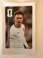Coca-Cola Sticker Nr. 12 Antonee Robinson (USA)