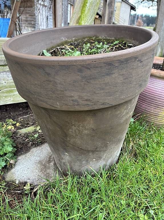 Pots de fleurs: Blumentopf winterhart 45 H, 38 Durchmesser  – D'occasion à Knutwil par Momon 2