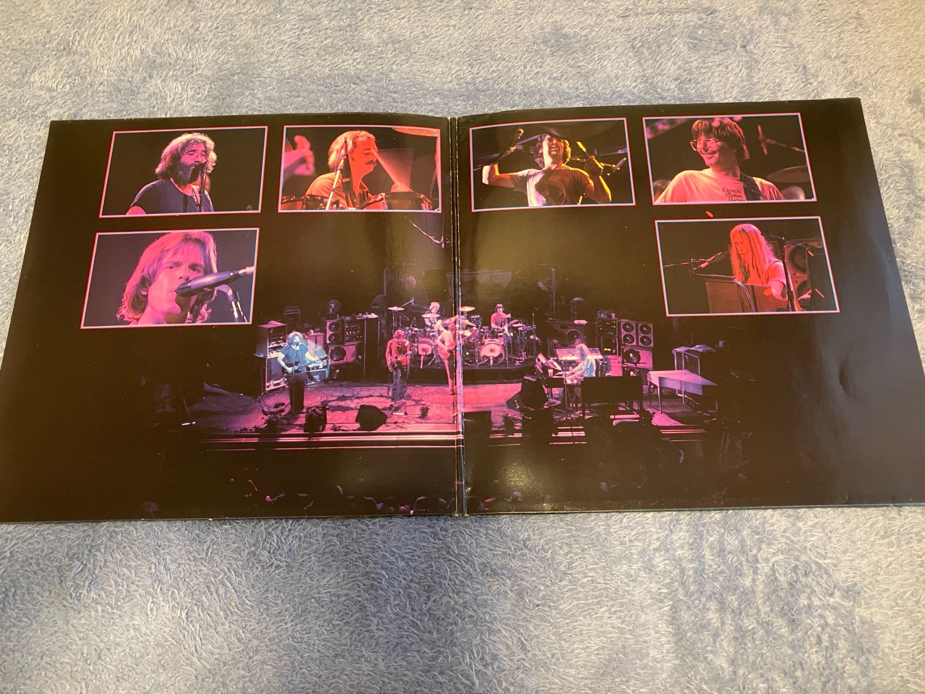 Schallplatten: Grateful Dead – Gebraucht aus Aarwangen von Jukebox3 3
