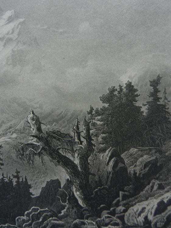 Gravures: Piz Bernina – D'occasion à Risch par Rischli15 6