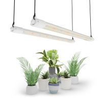 Mars Hydro VG40 lampes plantes