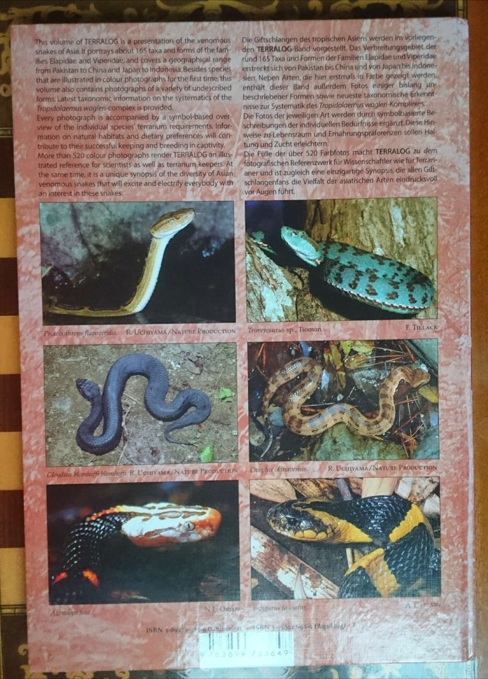 Libri: Giftschlangen Asiens Buch – Nuovo (secondo la descrizione) da Wangen b. Olten venduto da ErikaK06 1