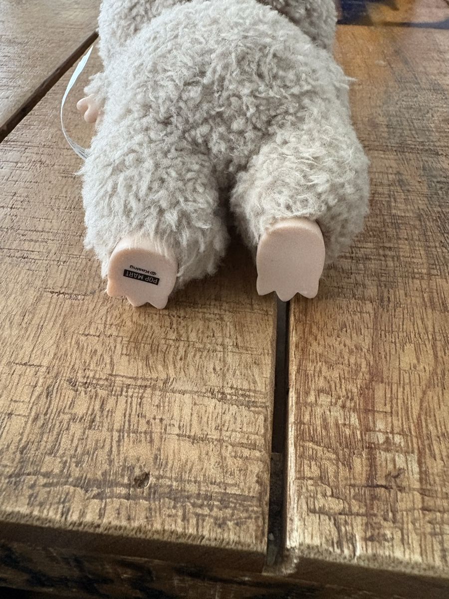 Figuren: Labubu Original – Neu (gemäss Beschreibung) aus Zürich von lady_nika 2