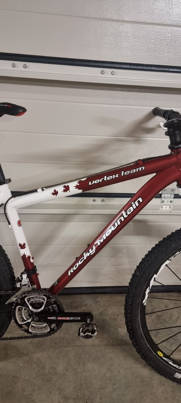 Rocky Mountain Bicycles Biciclette: Rocky Mountain Vertex Team – Usato da Seon venduto da Stibinio 1