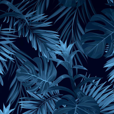 Profile image of woodglue