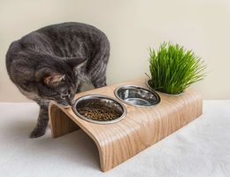 Futterstation Futternapf Katze Hund Eiche