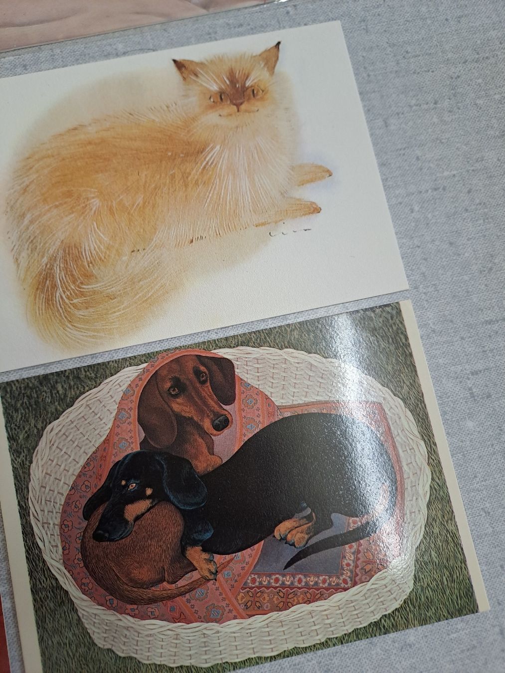 Cartoline postali: 7 Postkarten Tiere Katzen Hunde  – Nuovo (secondo la descrizione) da Uznach venduto da Walaylatiere 1