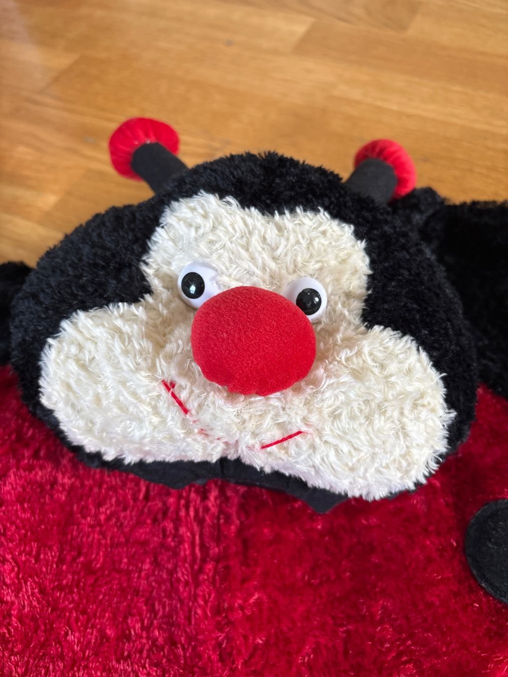 Costumi: Marienkäferkostüm – Usato da Zürich venduto da Fabienne059 1