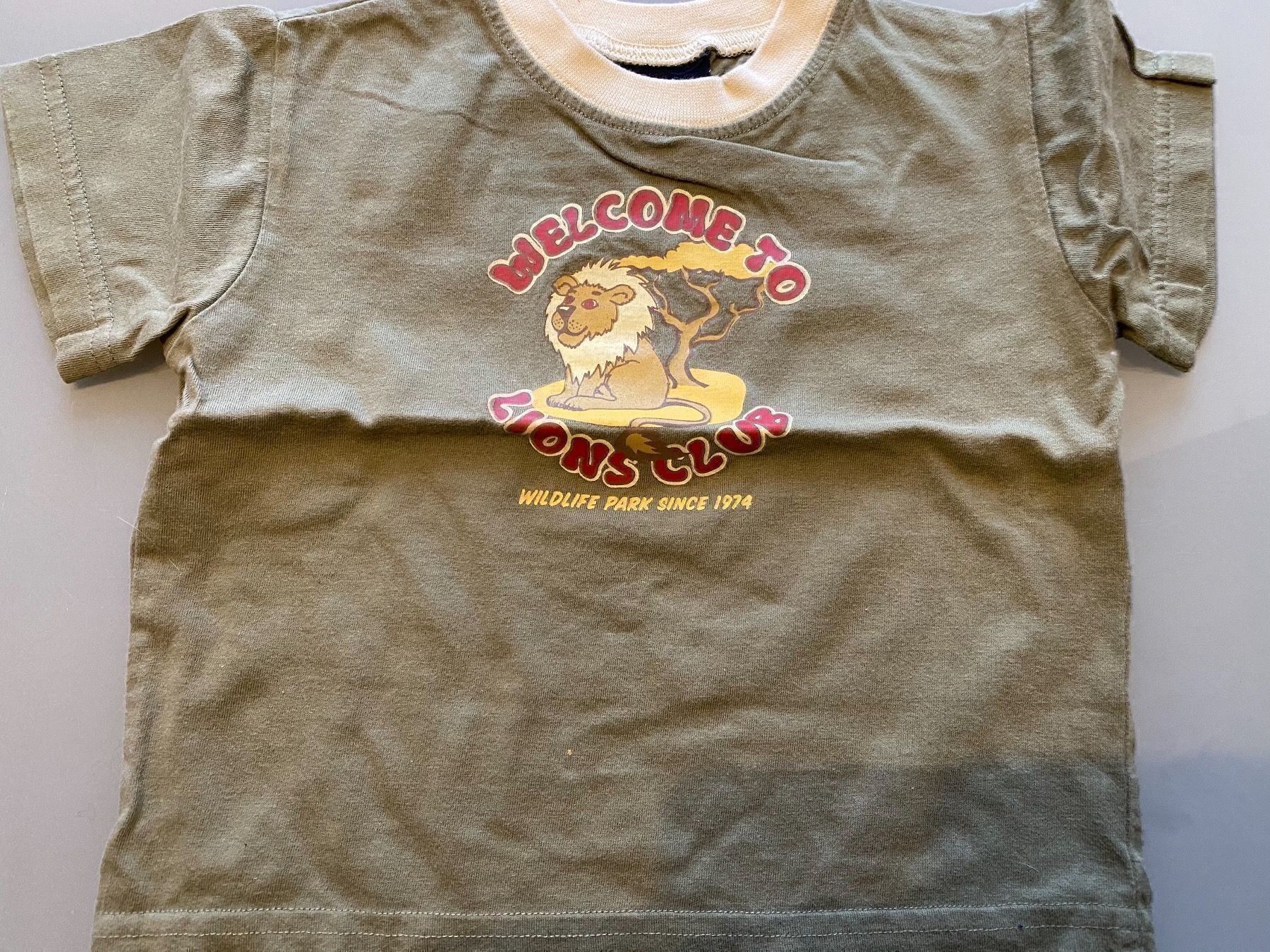 Camicie, Top & T-shirt: 3 t-shirt garçon T.80 – Usato da Le Brassus venduto da lionete02 1