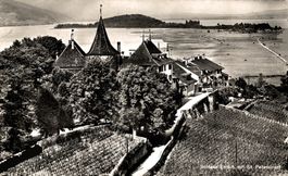 Schloss Erlach mit St. Peterinsel
