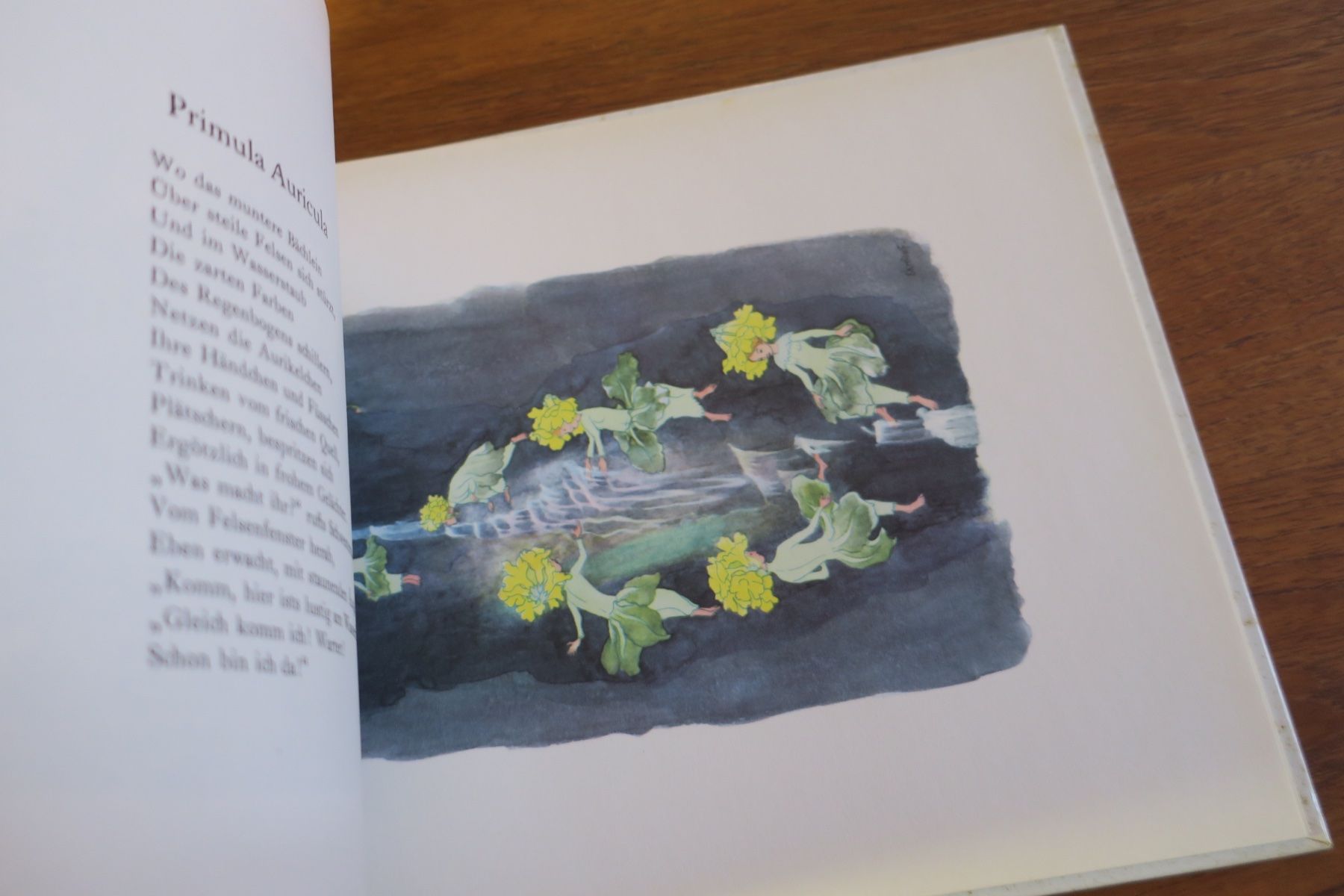 Libri: Ernst Kreidolf / ALPENBLUMENMÄRCHEN – Usato da Langenthal venduto da Riccardamax 5