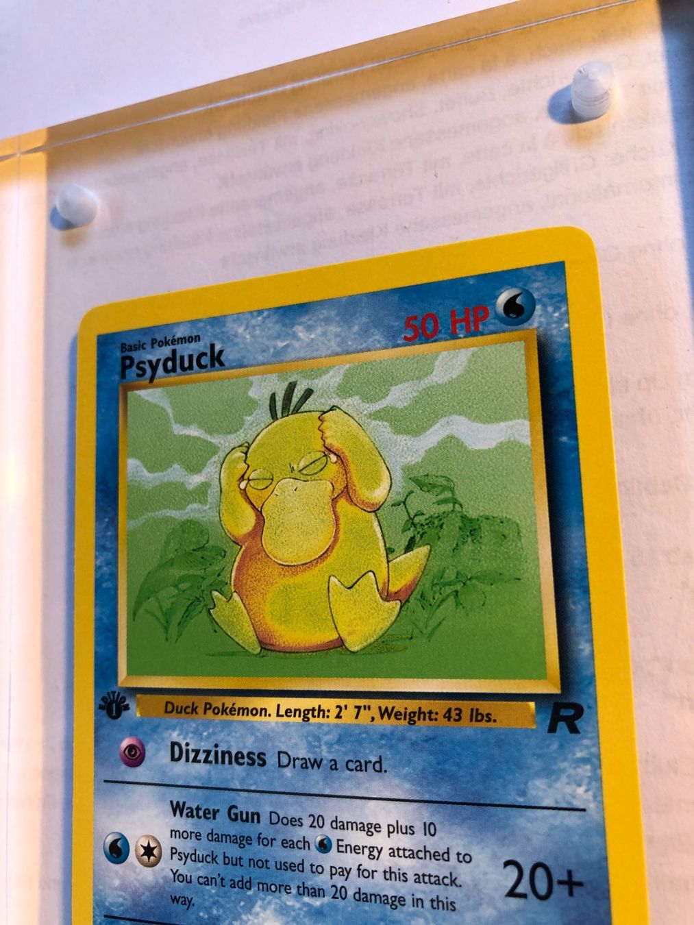 Sammelbilder & Trading cards: Psyduck 1st Team Rocket - MINT - ab 1.- – Gebraucht aus Giubiasco von dan_pr8b 3