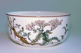 SCHÜSSEL*VILLEROY & BOCH*BOTANICA*****