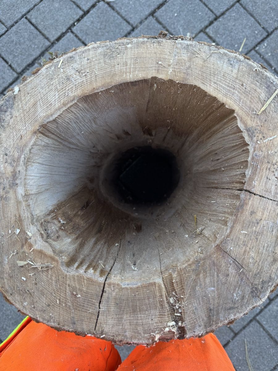 Articoli in legno: Rustikaler Baumstamm mit durchgehendem Loch – Nuovo (secondo la descrizione) da Reichenburg venduto da Noele123 2