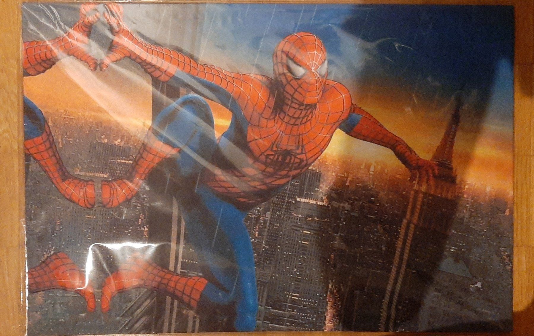 Foto & Immagini: Spiderman in action 2 LED Leuchtbild – Nuovo e nell'imballaggio originale da Kilchberg ZH venduto da ruedi34 2