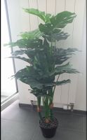 Kunst Monstera mit Topf & Dekosteinen Deko-Pflanze