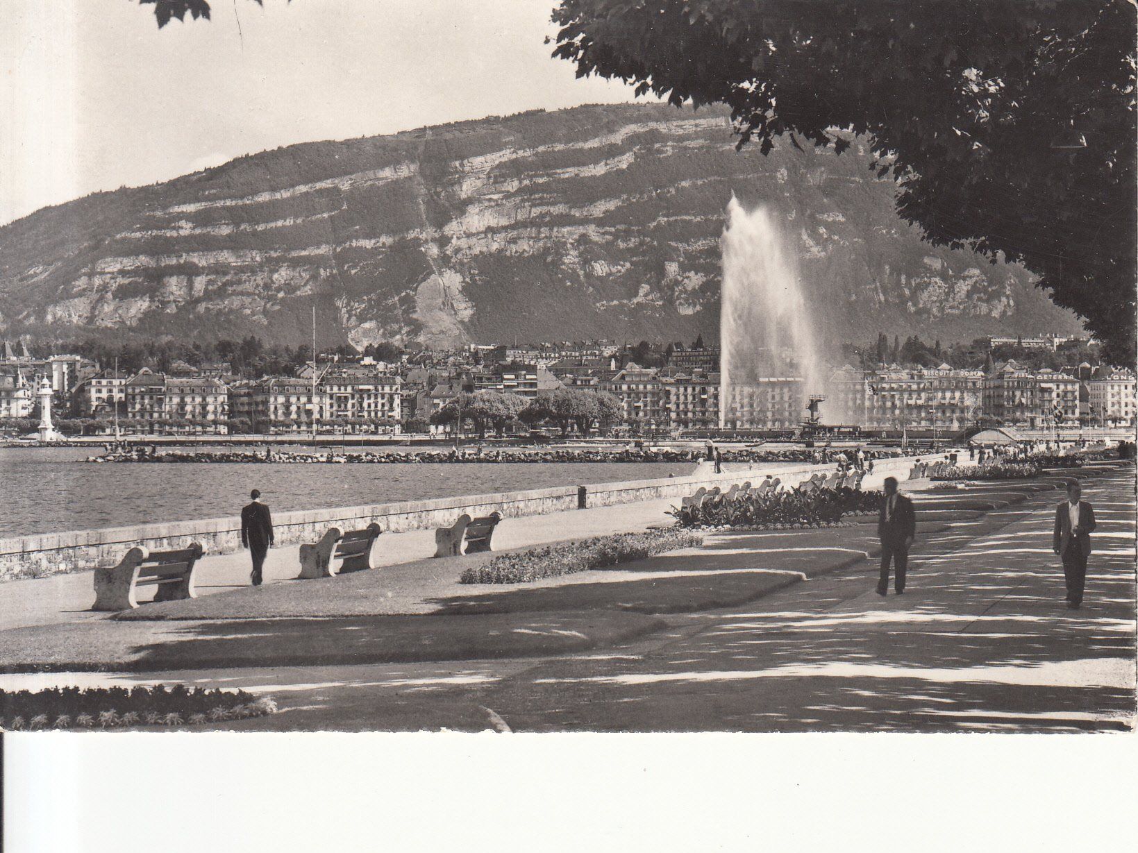 Cartoline postali: Genève ca. 1950 – Usato da Bürglen TG venduto da StampGraf