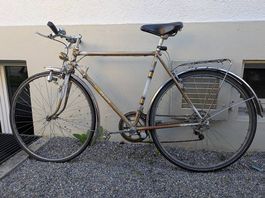 Mondia Herrenvelo