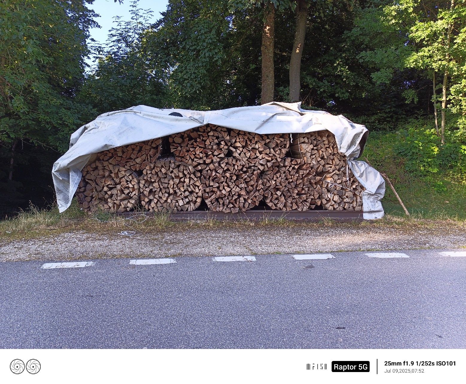 Articoli in legno: Brennholz – Nuovo (secondo la descrizione) da rumisberg venduto da Rbergler 2