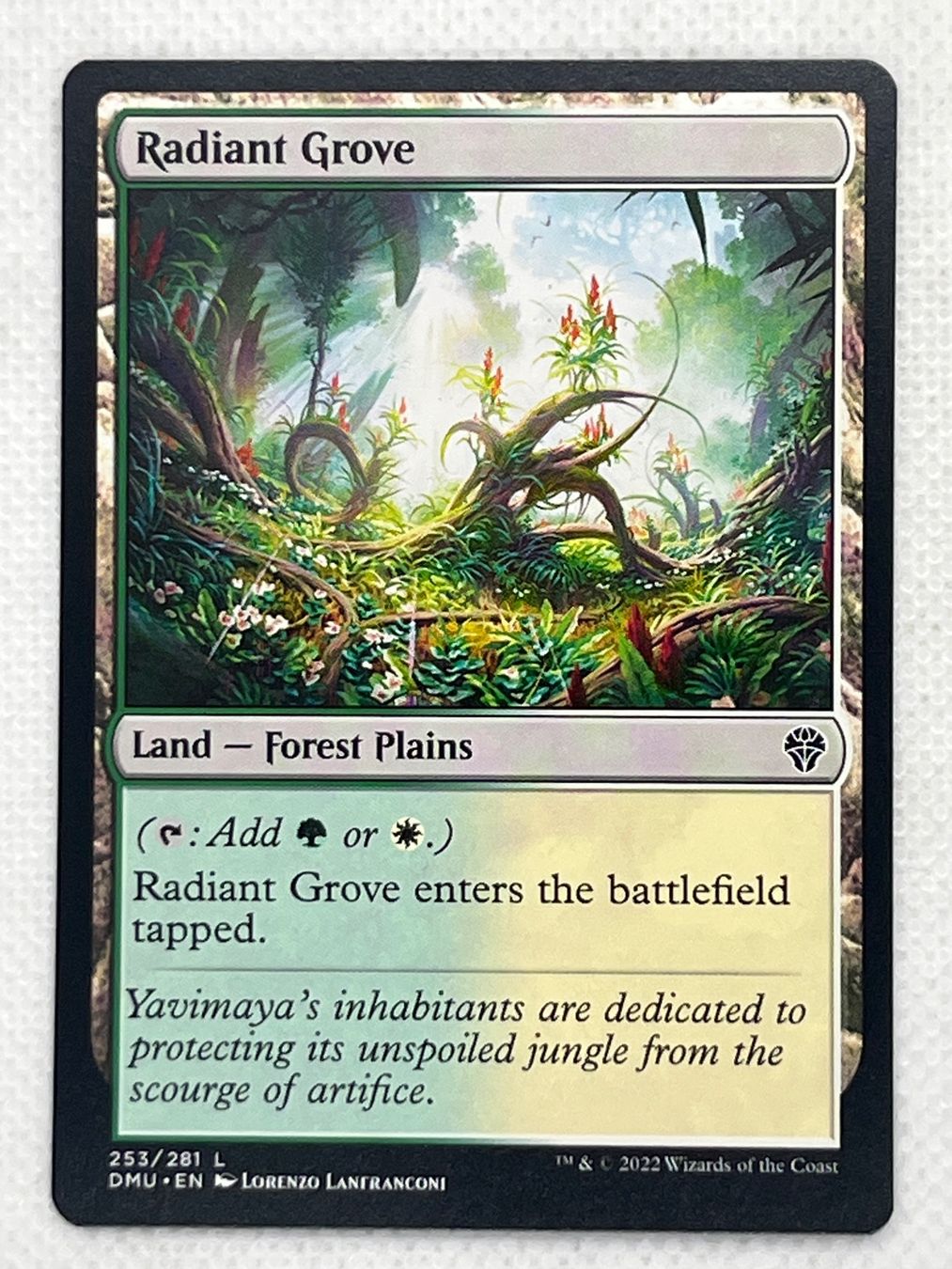Magic The Gathering Cartes à collectionner: MTG Radiant Grove DMU 253 Englisch Common – D'occasion à Hinterkappelen par Kim1992