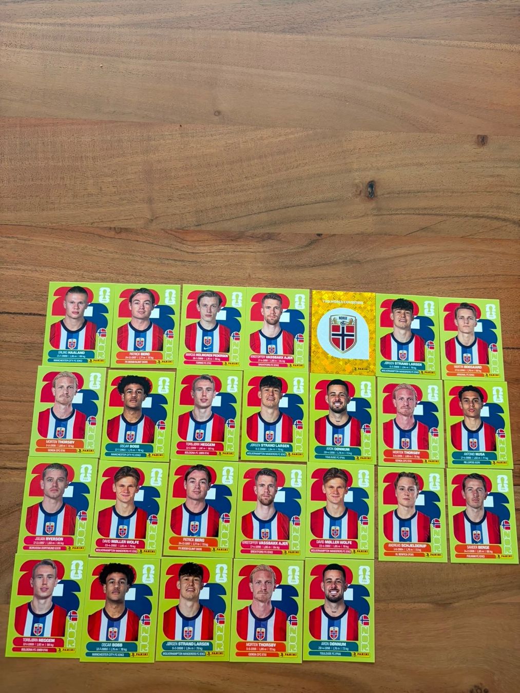 Panini Carte collezionabili: Panini Norwegen NOR 2026 – Usato da Solothurn venduto da rah_g92d