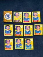 11 Panini Sammelbilder von Bosnien-Herzegowina