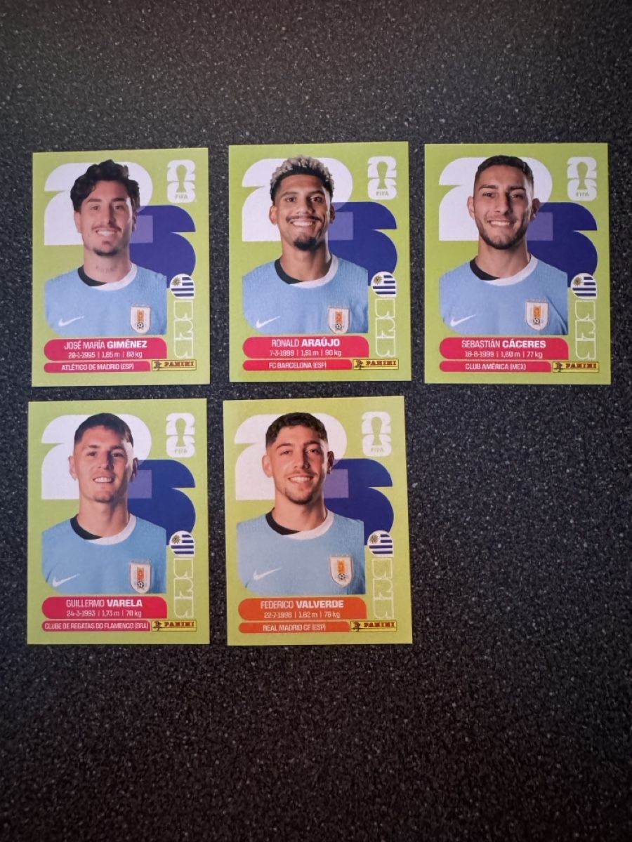 Panini Carte collezionabili: Panini Sticker Uruguay WM 2022 Set – Nuovo (secondo la descrizione) da Oberkulm venduto da Oopeekoo