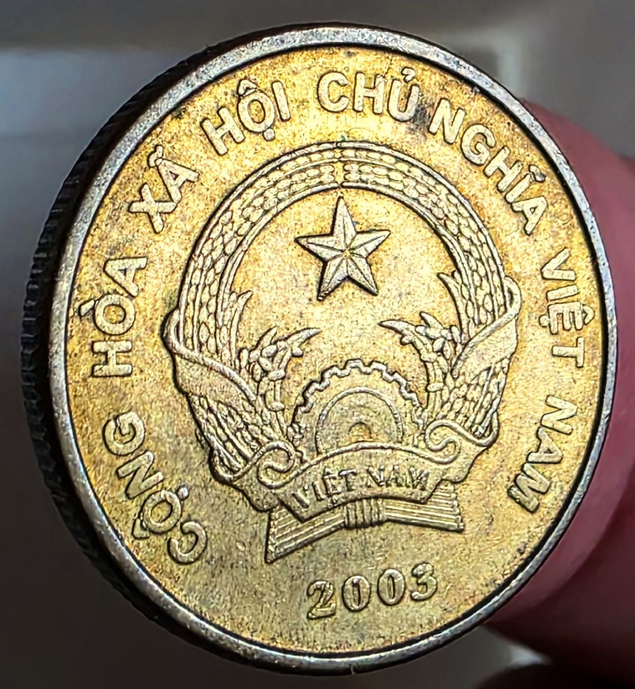 Tutti le monete: VIETNAM 1000 DONG 2003 – Usato da winterthur venduto da CoinPassion 1