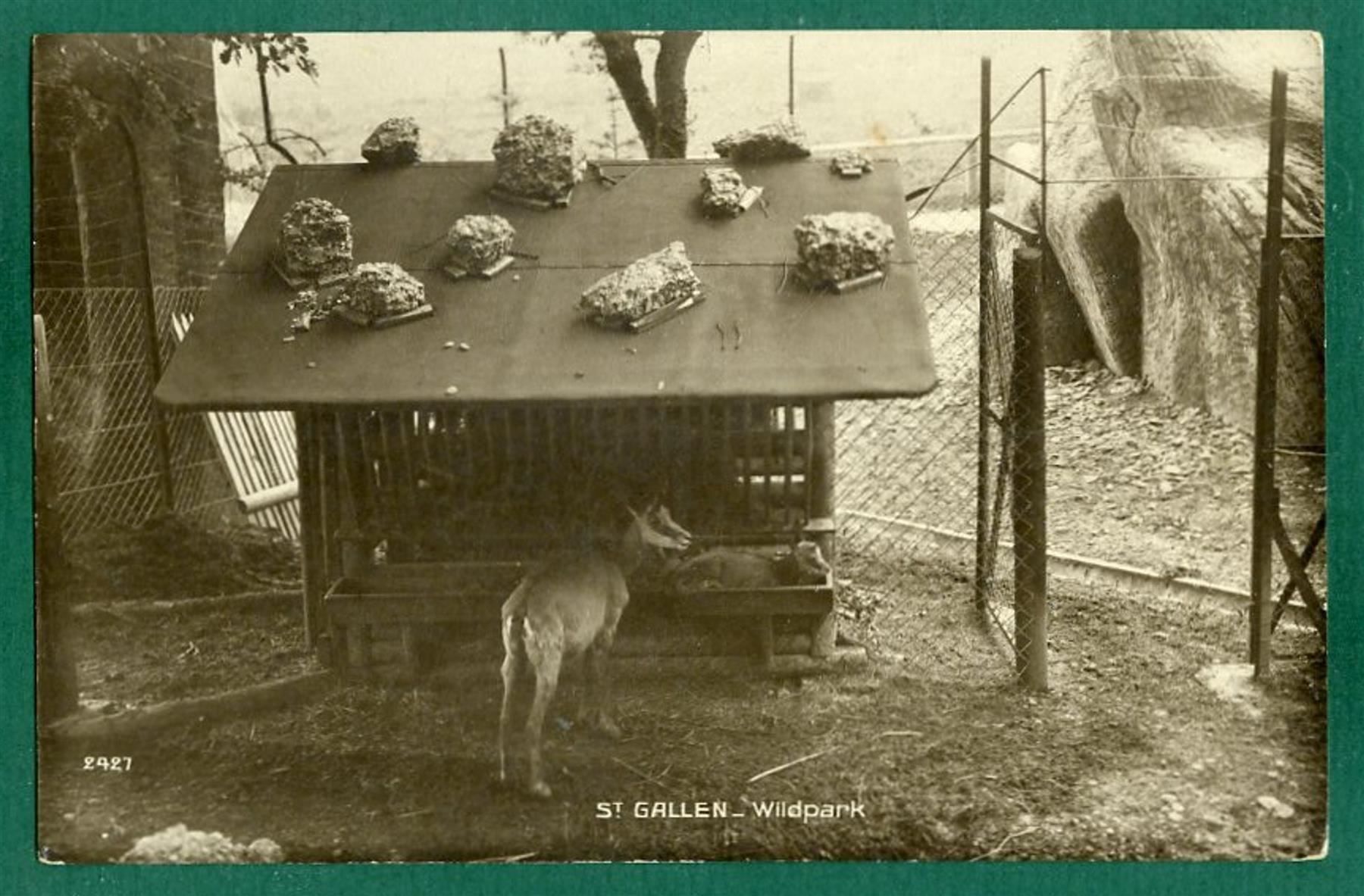 Ansichtskarten: St. Gallen, Wildpark, ungelaufen – Gebraucht aus Sargans von Hausi1951