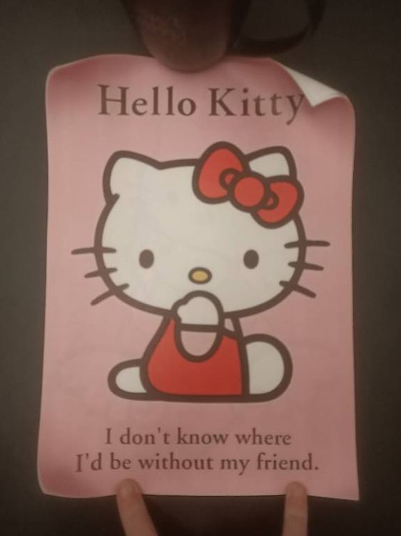 Affiches Hello Kitty | Kaufen auf Ricardo