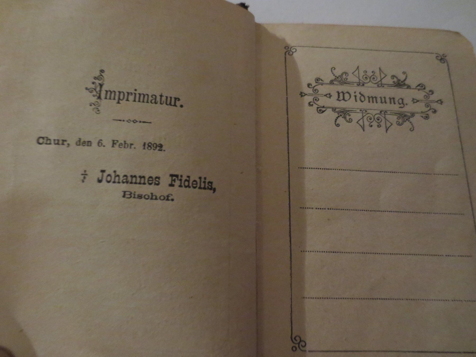 Libri: Vergissmeinnicht oder Andenken 6.2.1892 – Usato da Männedorf venduto da Livingston 2