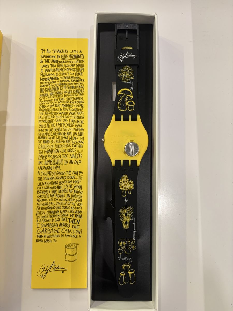 Swatch Orologi: Swatch Andy Anderson New – Nuovo e nell'imballaggio originale da Vevey venduto da Eiden77 2