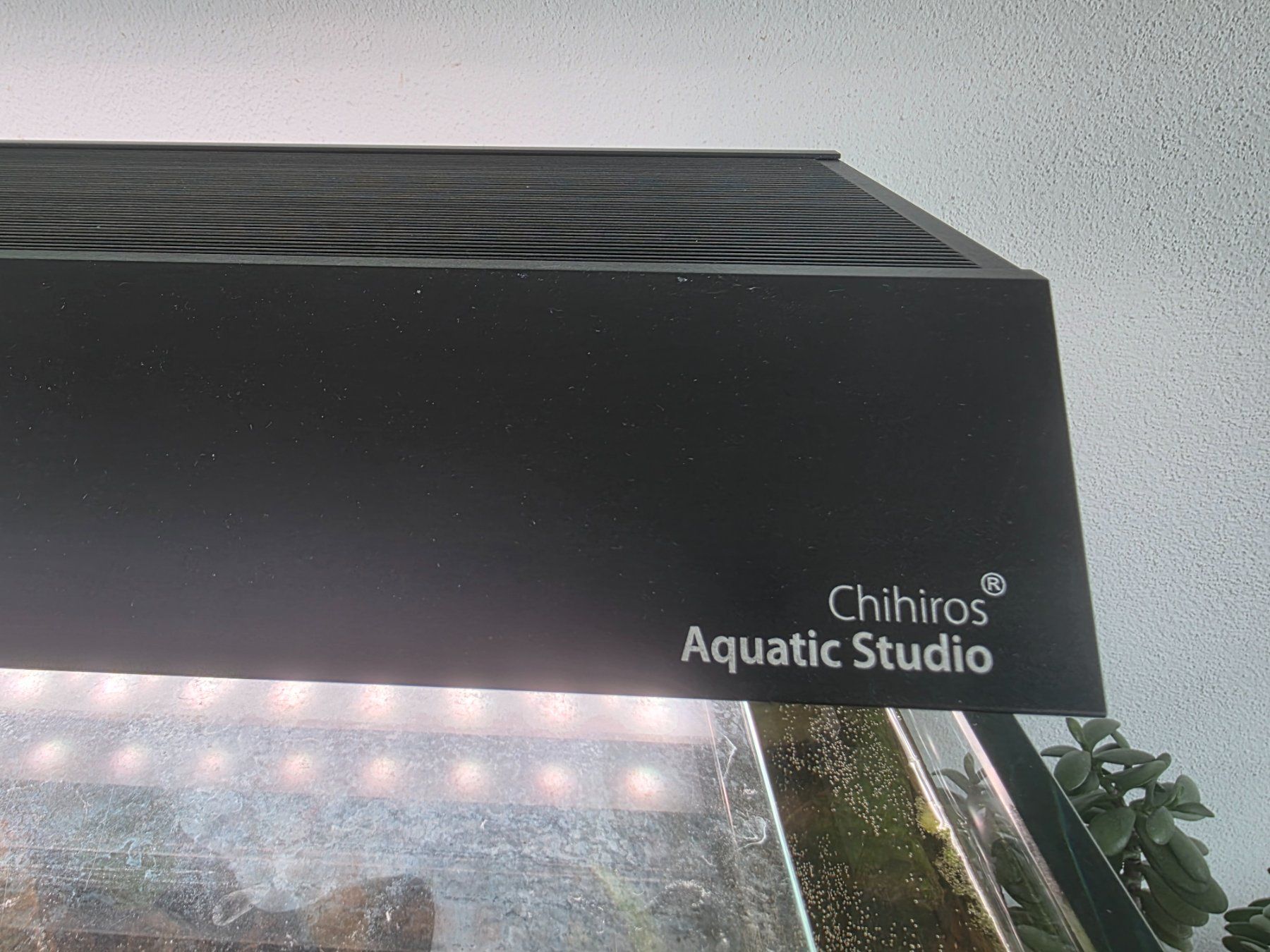 Aqua Design Amano Acquari: ADA Aquarium Komplettset – Usato da Richterswil venduto da deris117 2