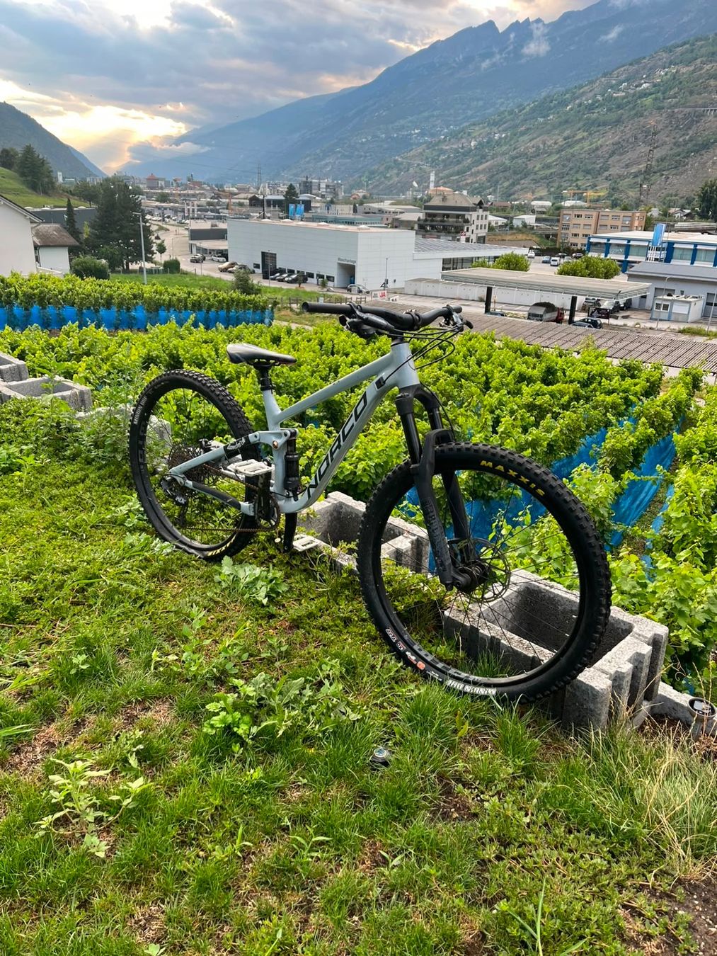 Norco Velos: Norco Fluid – Gebraucht aus Eyholz von des_xg2x