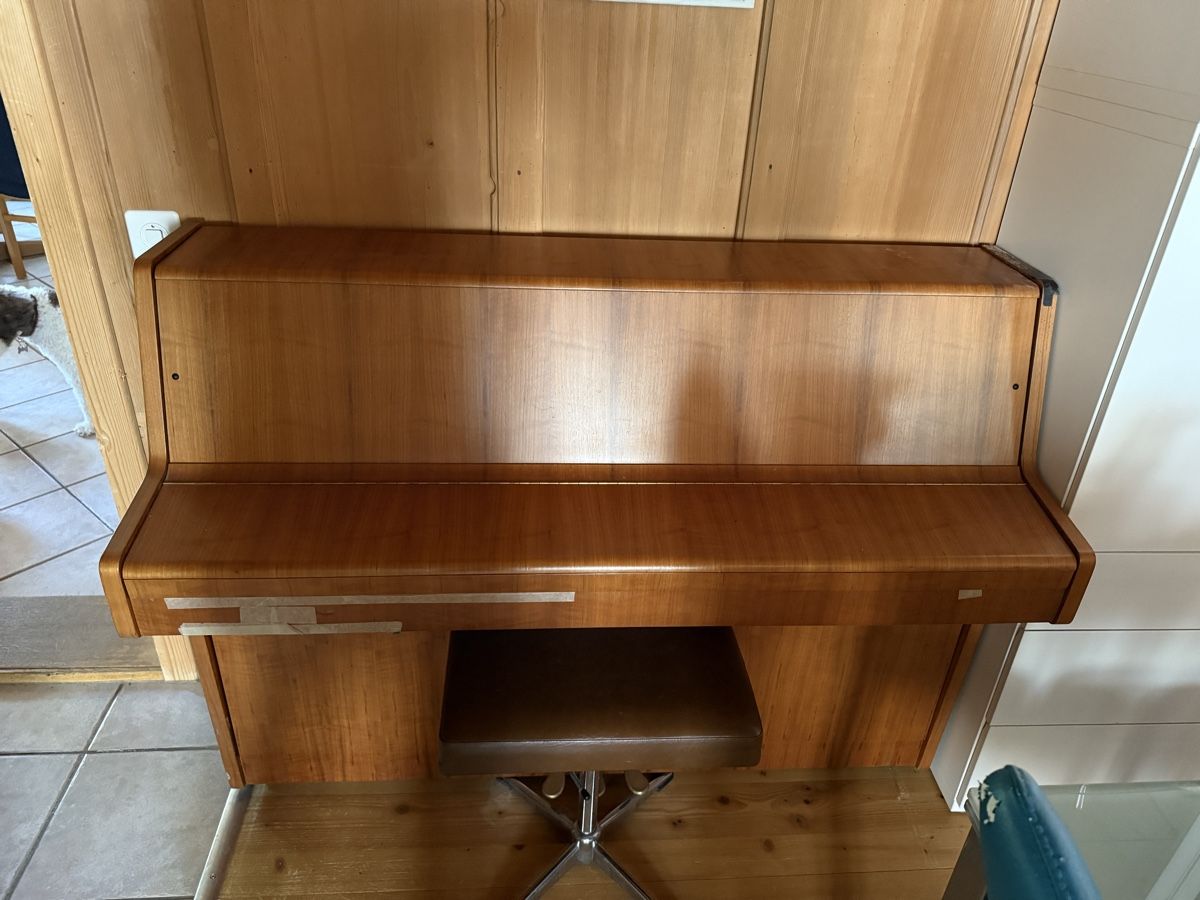Strumenti musicali: Klavier der Marke Furstein Farfisa – Usato da Toffen venduto da Samson74 1