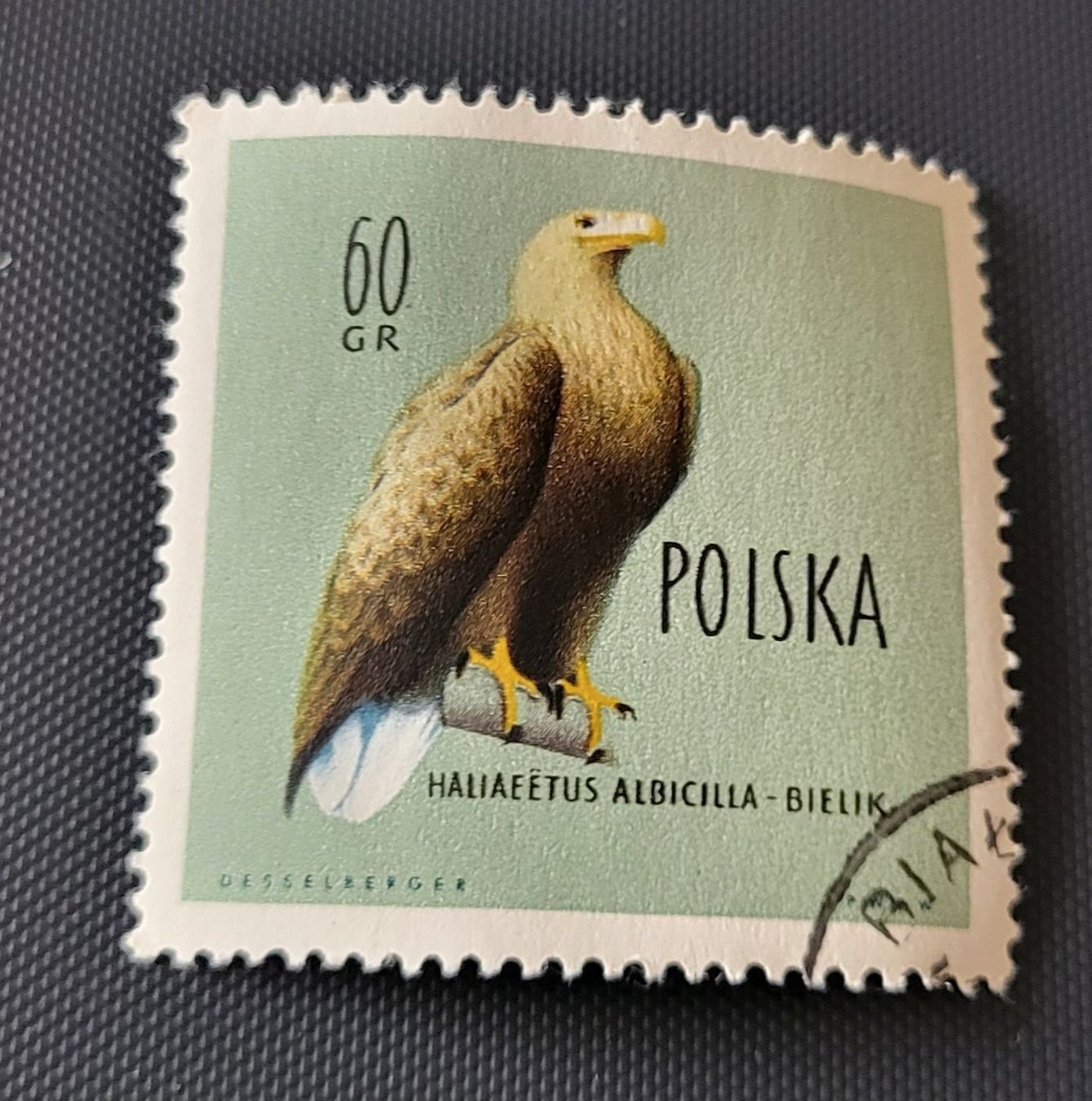 Tutti i francobolli: Polen 1960 briefmarke A011 – Usato da St Gallen venduto da Stampsalshobby