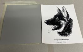Aluminiumschild / Deutscher Schäferhund
