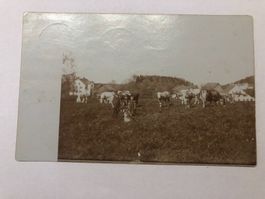Bei Hinwil?   alte Fotokarte  1907