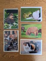 5 Karten / Motiv: Tiere (handgemacht)