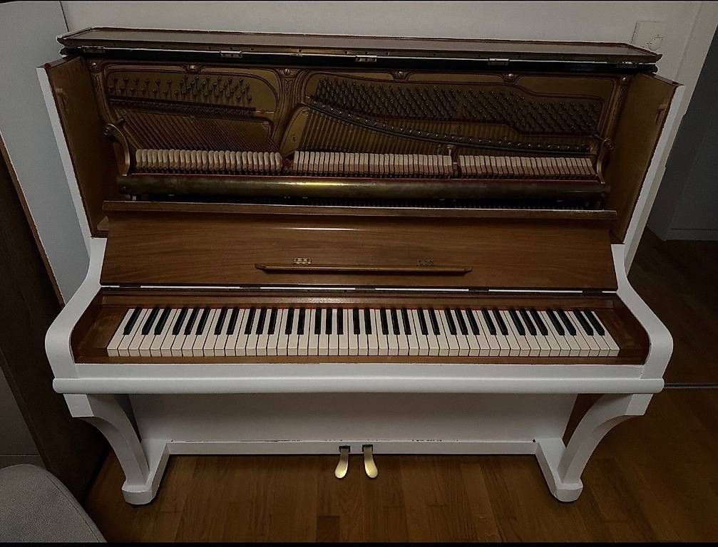 Strumenti musicali: Hornung møller 1924 – Usato da Bex venduto da sba_v6tg