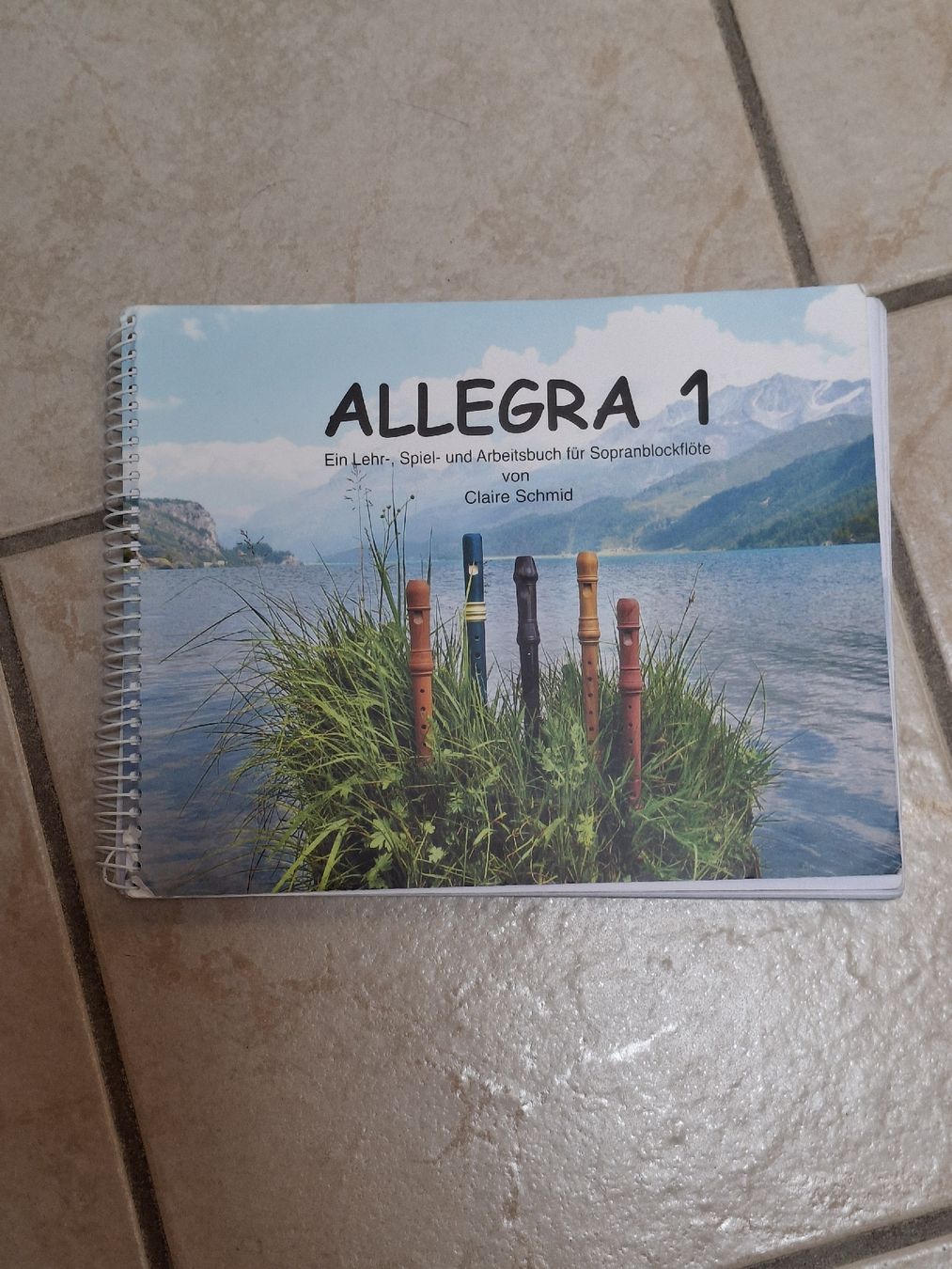 Libri: Allegra 1 Flötenbuch – Usato da Wilderswil venduto da janabe