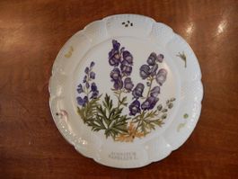 Langenthal Zierteller Aconitum Napellus L. mit Blumenmotiv