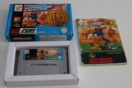 SNES International Superstar Soccer Deluxe