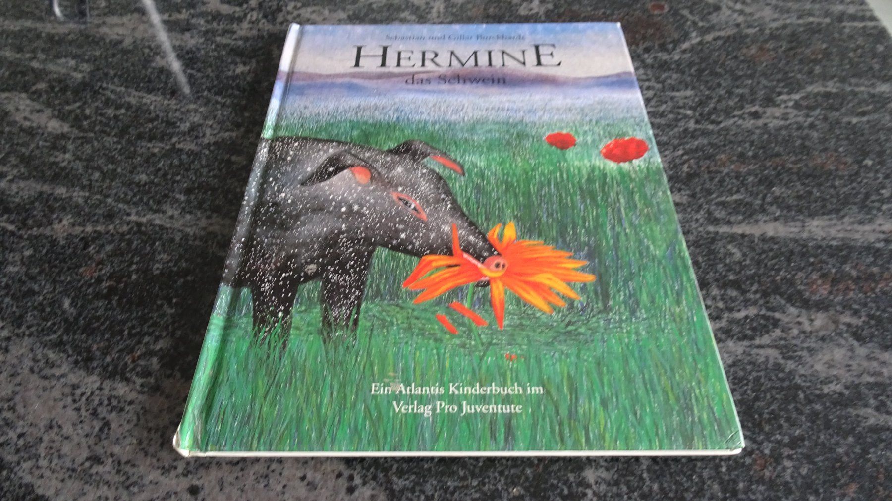 Bücher: HERMINE das Schwein   Bilderbuch – Gebraucht aus Zürich von Roulet